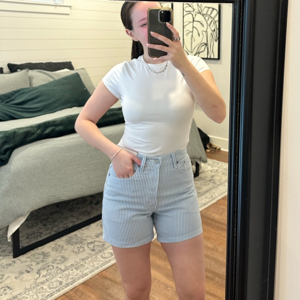 Abercrombie & Fitch Blue and White Striped Dad Shorts